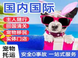 万州五桥空运地址国际宠物托运 【国
